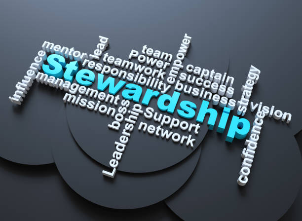 Stewardship Sunday